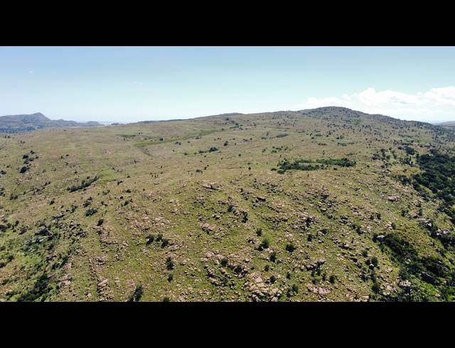 256HA FARM FOR SALE IN ROOSSENEKAL AH